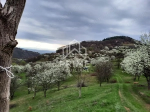 TEREN INTRAVILAN 13700 MP, INURI, VINTU DE JOS - imagine 5