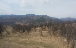 Vând pășune-5000 mp   Ideală pentru Cabană   A-Frame   Glamping - imagine 9