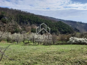 TEREN INTRAVILAN 13700 MP, INURI, VINTU DE JOS - imagine 3
