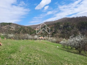 TEREN INTRAVILAN 13700 MP, INURI, VINTU DE JOS - imagine 4
