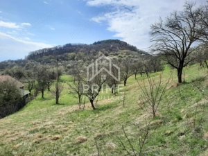 TEREN INTRAVILAN 13700 MP, INURI, VINTU DE JOS