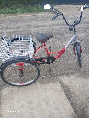 tricicleta adulți 