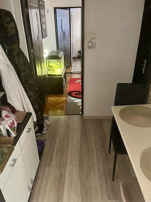 Apartament 2 Camere Zona Sagului Ana Ipatescu - imagine 3