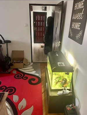 Apartament 2 Camere Zona Sagului Ana Ipatescu - imagine 2