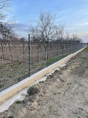 Vând teren in Biharia 3500 mp, str Szent Peter nr 45 - imagine 4