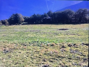   Vând teren    - imagine 4