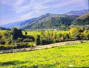   Vând teren    - imagine 2