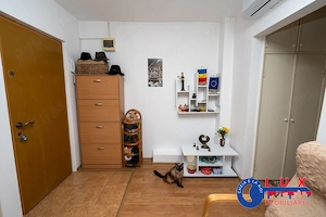 ID 20019 Apartament 2 camere   Strada Podgoriilor - imagine 9