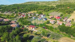 Casa cu teren de 3100 mp de vanzare in comuna Cornesti - imagine 14