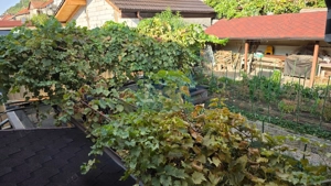 Casă Central Orsova, cu vedere la Dunăre - imagine 4