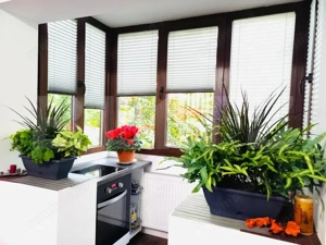 Apartament 3 camere, semidecomandat - zona Rogerius - imagine 4