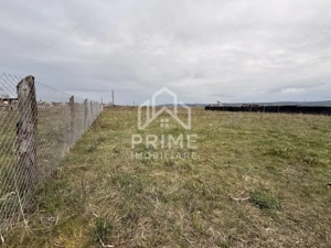 TEREN INTRAVILAN 525 MP, ZONA LINISTITA, ALBA IULIA - imagine 2