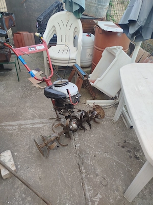 Motosapa Robix 5.5 cp .