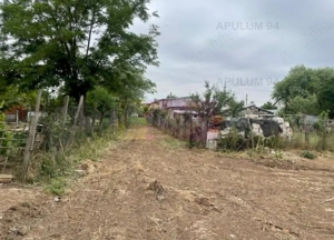 Teren Domnesti- Mega Image. - imagine 4