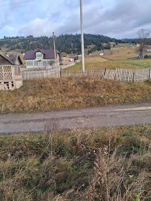 Casa lemn masiv acoperita recent + 5 anexe + teren peste 15000 mp la 46000 Euro negociabil - imagine 3