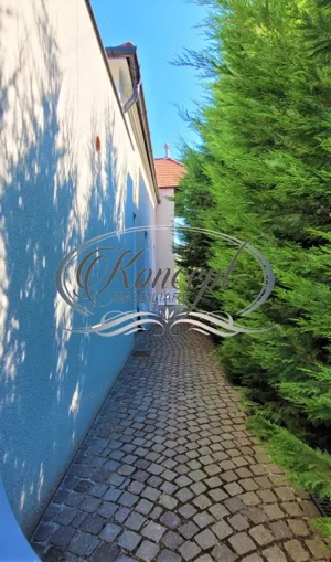 Spatiu de birouri in Andrei Muresanu - imagine 14