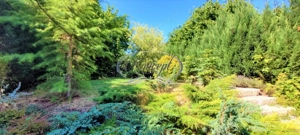 Spatiu de birouri in Andrei Muresanu - imagine 11