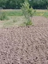 Teren intravilan in Ocoliș 