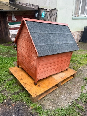 Cușcă Stare Foarte Bună  - imagine 3