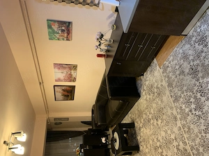 Inchiriez apartament cu doua camere  in Doamna Stanca Dedeman - imagine 5