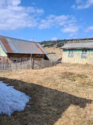 Casa lemn masiv acoperita recent + 5 anexe + teren peste 15000 mp la 46000 Euro negociabil - imagine 7
