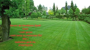 Intretinere Spatii Verzi 