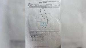  Oportunitate de Investiție: Teren Extravilan Generos în Sichevița - imagine 2