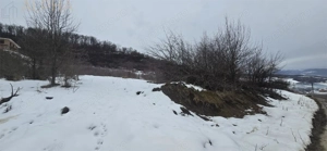 Teren extravilan de vanzare - imagine 2