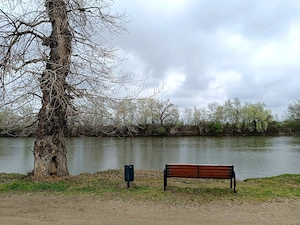 Teren intravilan Periam Port  - imagine 6