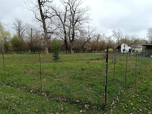 Teren intravilan Periam Port 