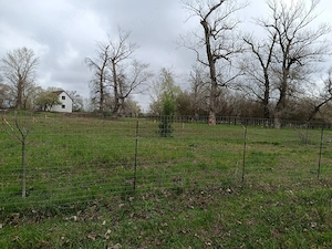 Teren intravilan Periam Port  - imagine 3