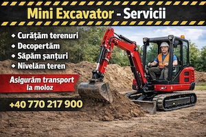Mini excavator efectuez lucrări  - imagine 2