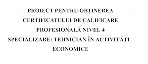 Vand Atestat Economic pentru liceu