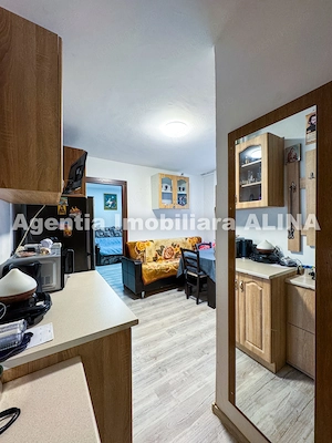 Garsoniera in Mun. Deva, Jud. HD, zona Dacia, Aleea Romanilor, 24,15 mp, etaj 2. - imagine 10