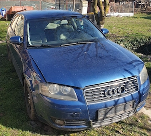 Dezmembrez Audi A3 8P