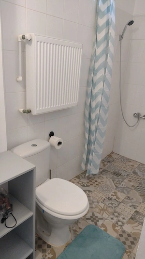 TitulescuTurdaGrivita Garsoniera32mp:375euro 3xAp2camere37mp:425euro OctavCocarascu5 proprietar - imagine 7