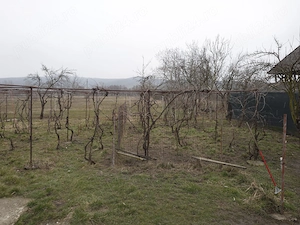 Vand casa solida in Com Gradistea- Jud. Valcea - imagine 5