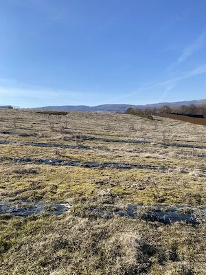 Teren extravilan de vanzare in Sfantu Gheorghe 