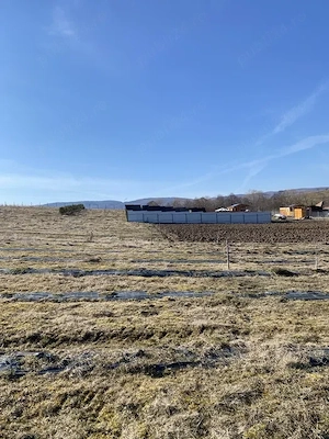Teren extravilan de vanzare in Sfantu Gheorghe  - imagine 2