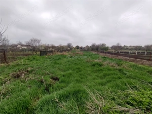 Iecea Mare - Timis, Casa cu Gradina, 1800mp Teren, Pret Negociabil - imagine 3