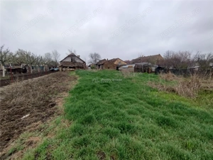 Iecea Mare - Timis, Casa cu Gradina, 1800mp Teren, Pret Negociabil - imagine 5