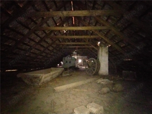 Iecea Mare - Timis, Casa cu Gradina, 1800mp Teren, Pret Negociabil - imagine 8