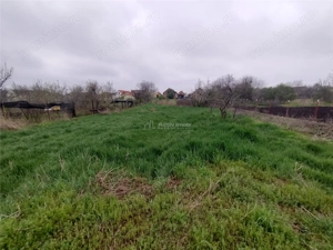 Iecea Mare - Timis, Casa cu Gradina, 1800mp Teren, Pret Negociabil - imagine 4