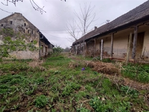 Iecea Mare - Timis, Casa cu Gradina, 1800mp Teren, Pret Negociabil - imagine 9