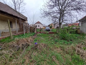 Iecea Mare - Timis, Casa cu Gradina, 1800mp Teren, Pret Negociabil - imagine 11