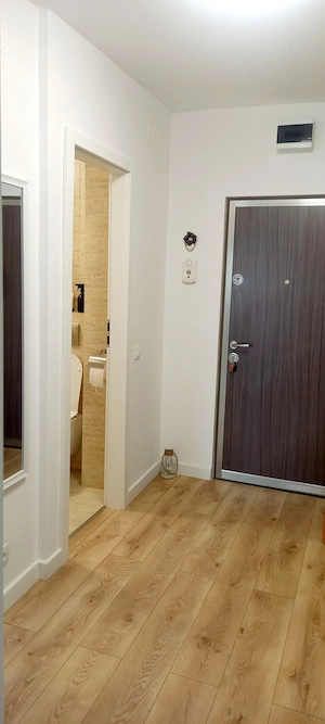 PF Vand apartament 1 camera zona Platinia, USAMV, panorama, recent renovat - imagine 7