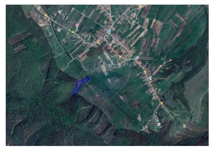 Teren intravilan, 9465 mp, Betfia, lângă pădure, de vânzare - imagine 3