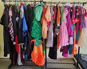 Costume carnaval en-gros - imagine 5