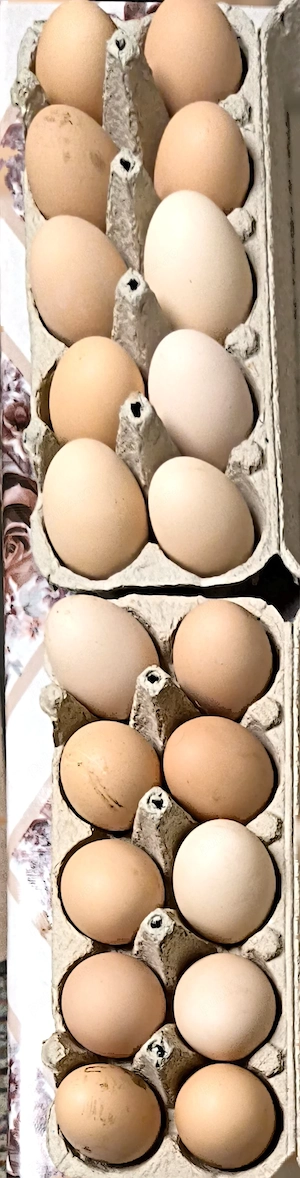 Vând Ouă de țară proaspete! - imagine 2