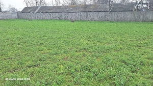 Vand teren intravilan Ciocanesti jud. Calarasi. 950 m  - imagine 5